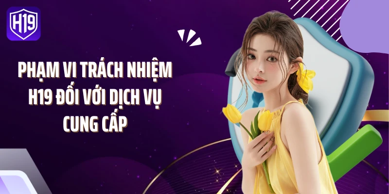 Phạm vi trách nhiệm H19 đối với dịch vụ cung cấp